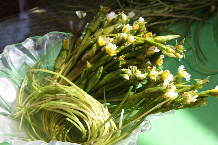 来自丽江独一无二手作熟茶普洱海龙茶